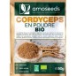 Cordyceps