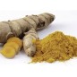 Curcuma en poudre Bio