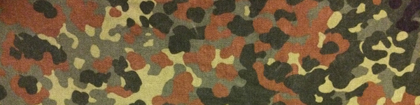 camouflage flecktarn BW camo